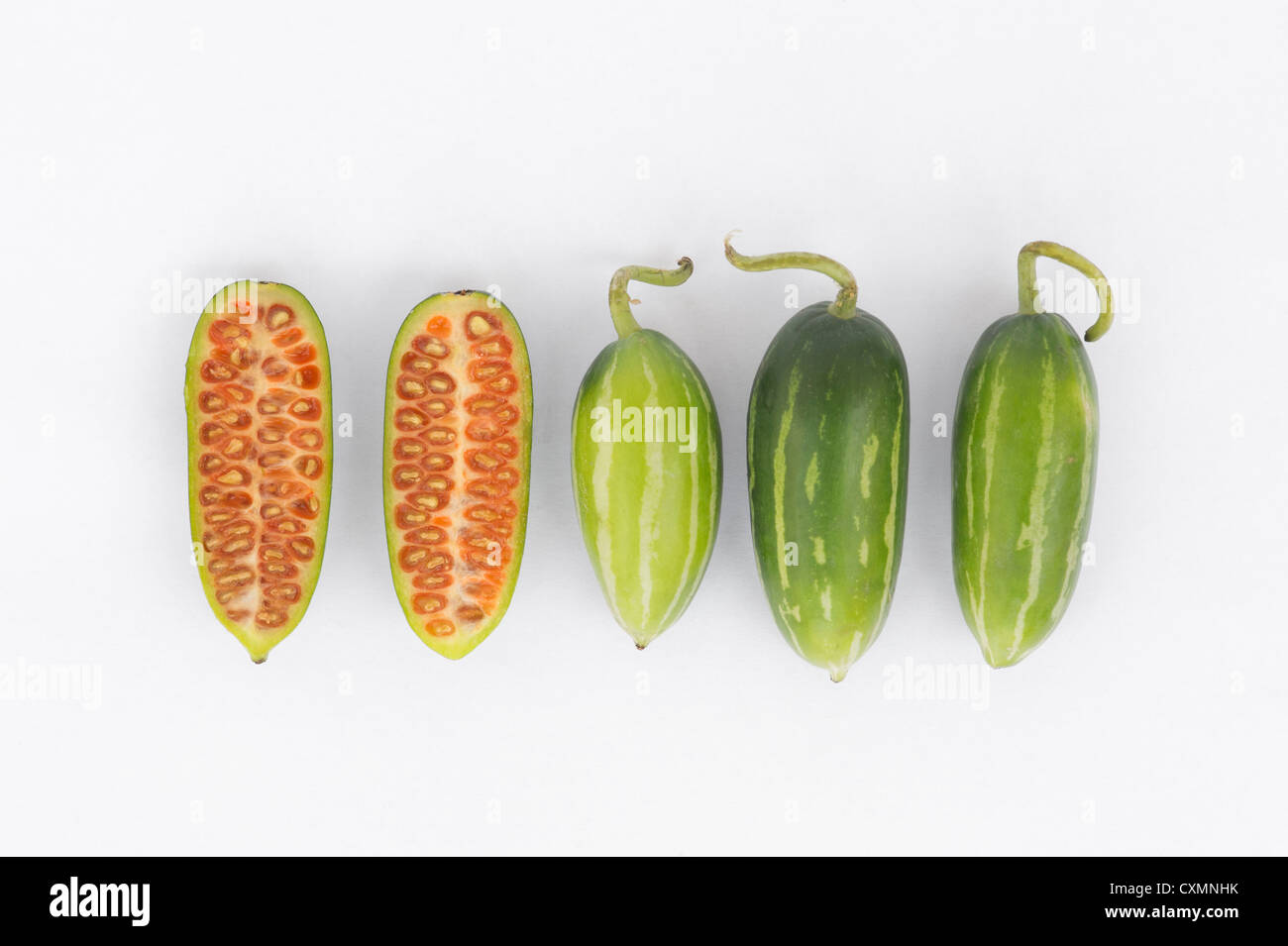 Coccinia grandis. Ivy Gourds on white background Stock Photo