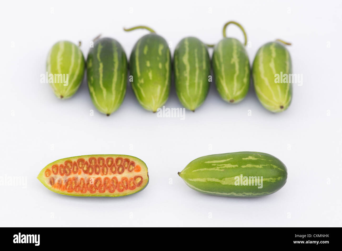 Coccinia grandis. Ivy Gourds on white background Stock Photo