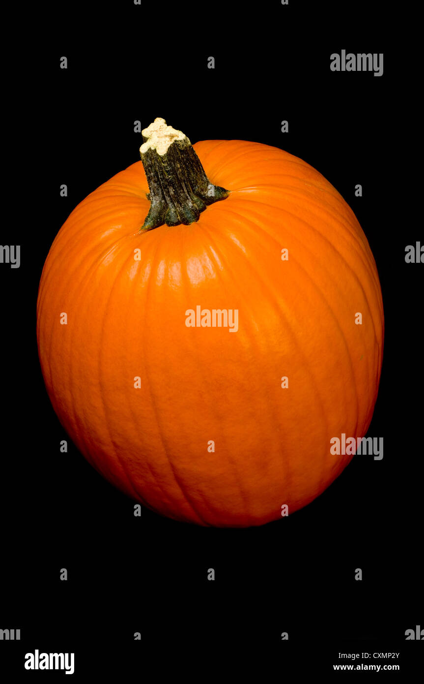 Orange pumpkin with stem on a black background Stock Photo - Alamy