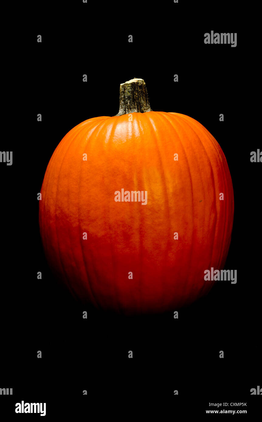 Orange pumpkin with stem on a black background Stock Photo - Alamy