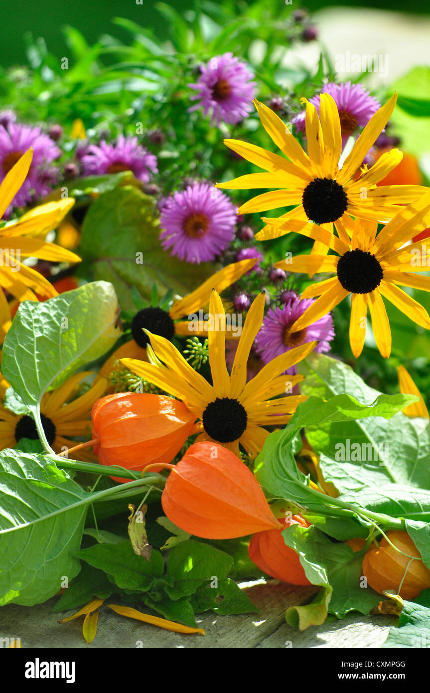 A colourful bunch of late summer cottagegarden flowers UK Stock Photo