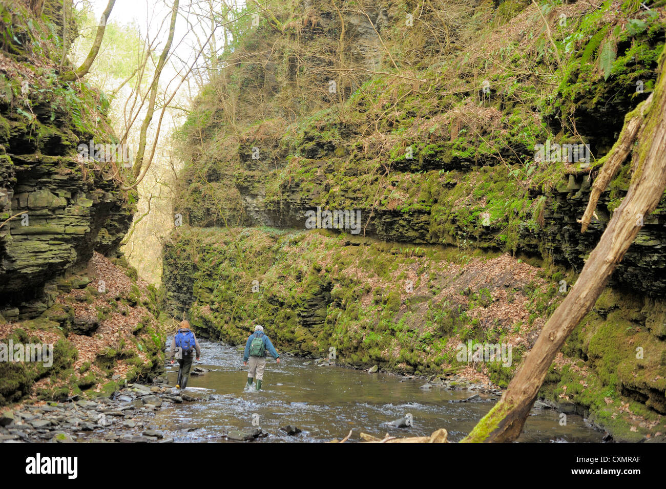 Two Botanists explore the Bach Howey (Bachawy) Gorge Stock Photo
