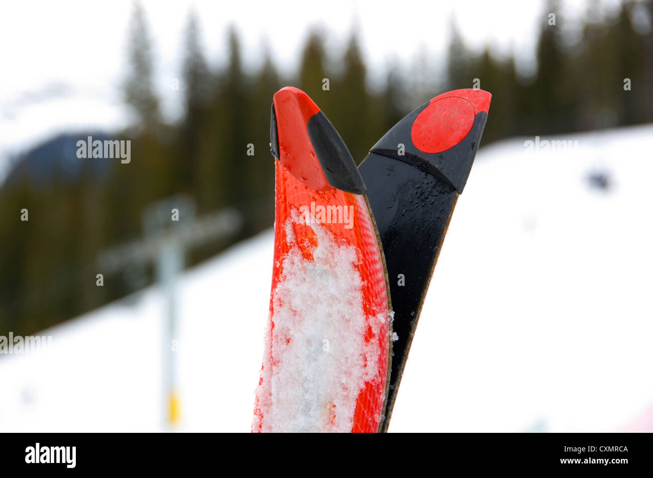 Tips of red snow skis at ski resort with mountain in the background ...