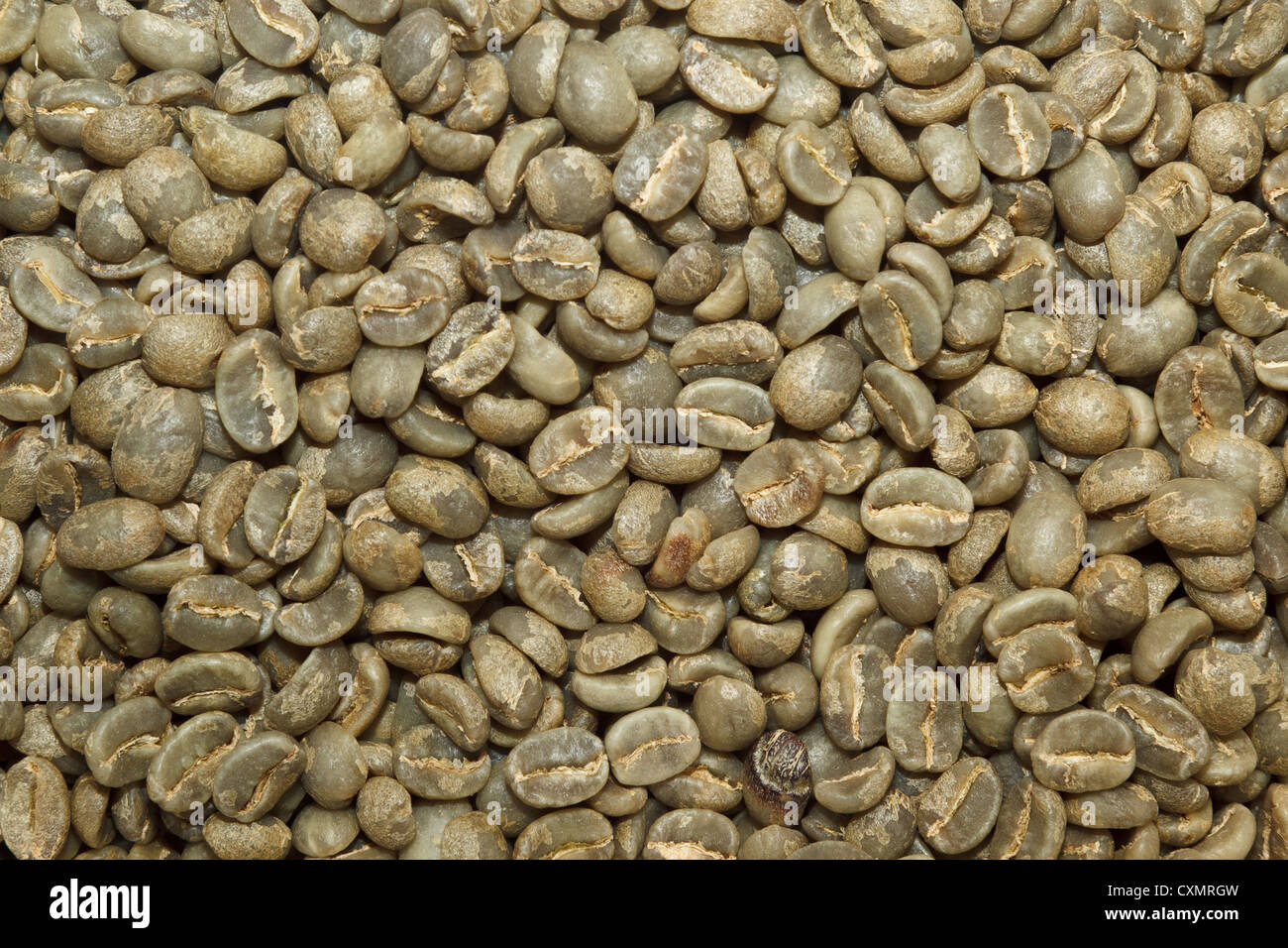 A batch of green coffee beans Stock Photo Alamy