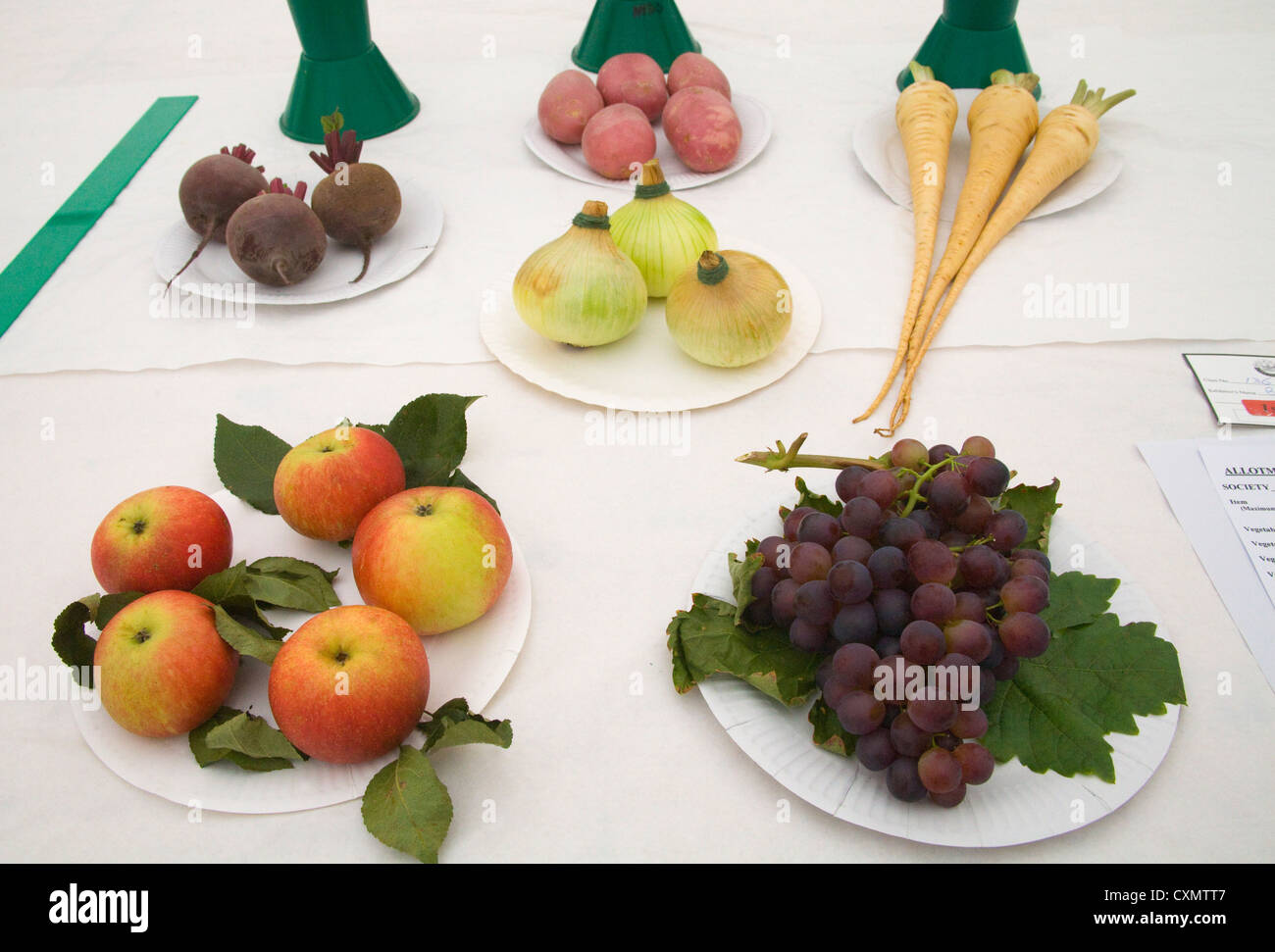 Northern Ireland Winning exhibit of fruit and vegetables in produce show Stock Photo Alamy