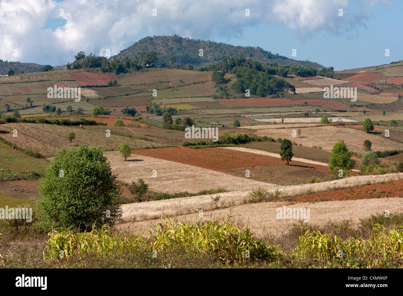 Myanmar, Burma. Farmland in Shan State. Stock Photo