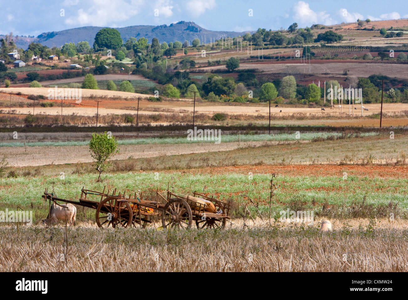 Myanmar, Burma. Farmland in Shan State. Stock Photo