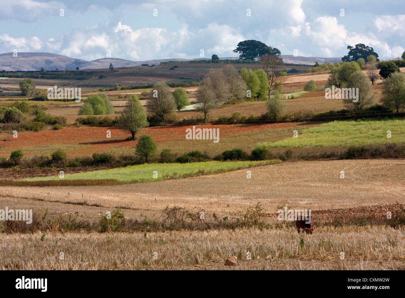 Myanmar, Burma. Farmland in Shan State. Stock Photo