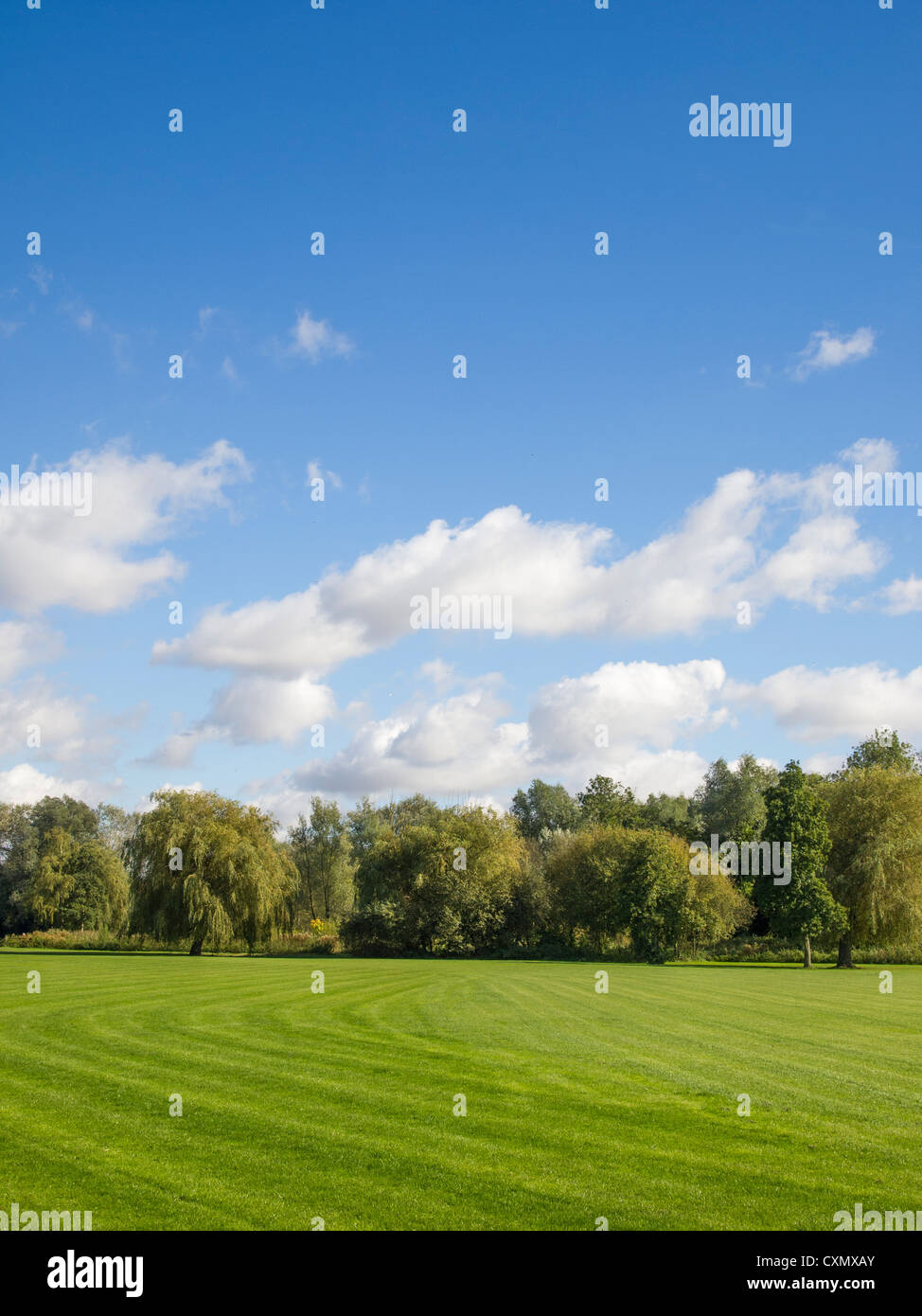 Fluffy white clouds in a blue sky above a green grass field with trees ...