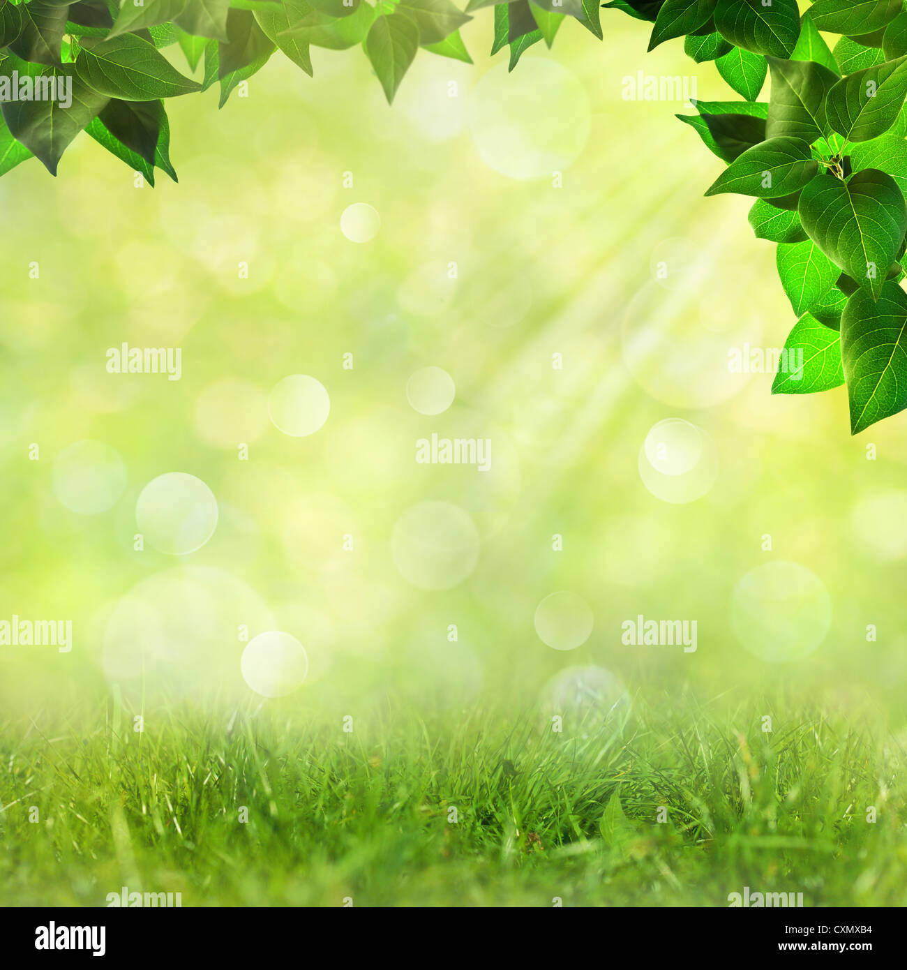 Natural Effect Background Abstract natural backgrounds with beauty bokeh Stock Photo - Alamy