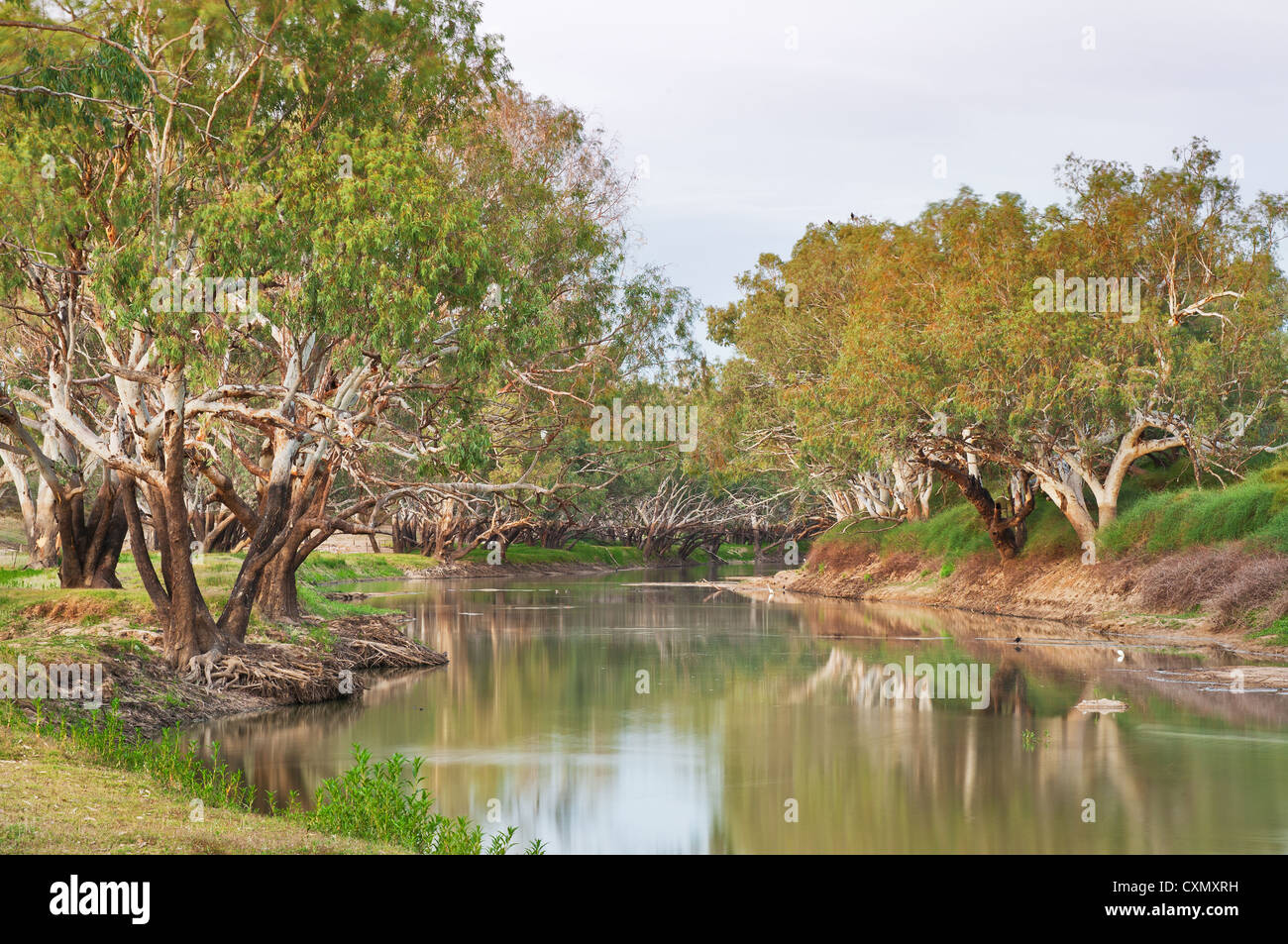 Cooper Creek in the South Australian desert after a good flooding. Stock Photo