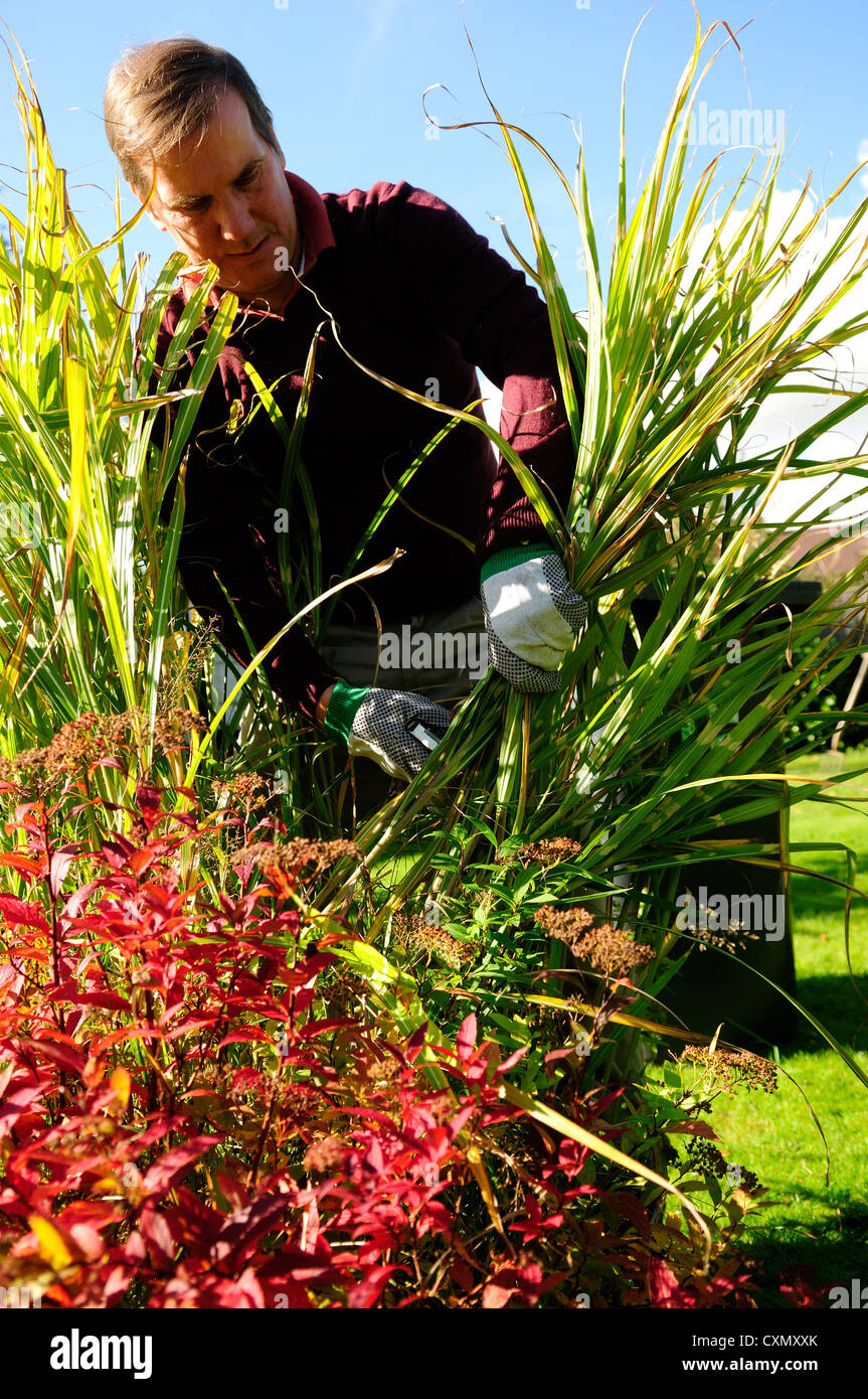 Autumn Gardening,Pruning And Tidy Garden Stock Photo Alamy