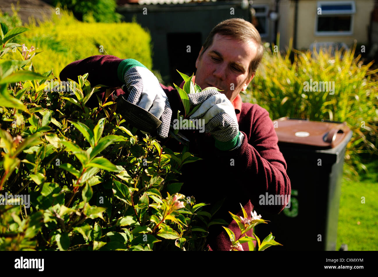 Autumn Gardening,Pruning And Tidy Garden Stock Photo Alamy