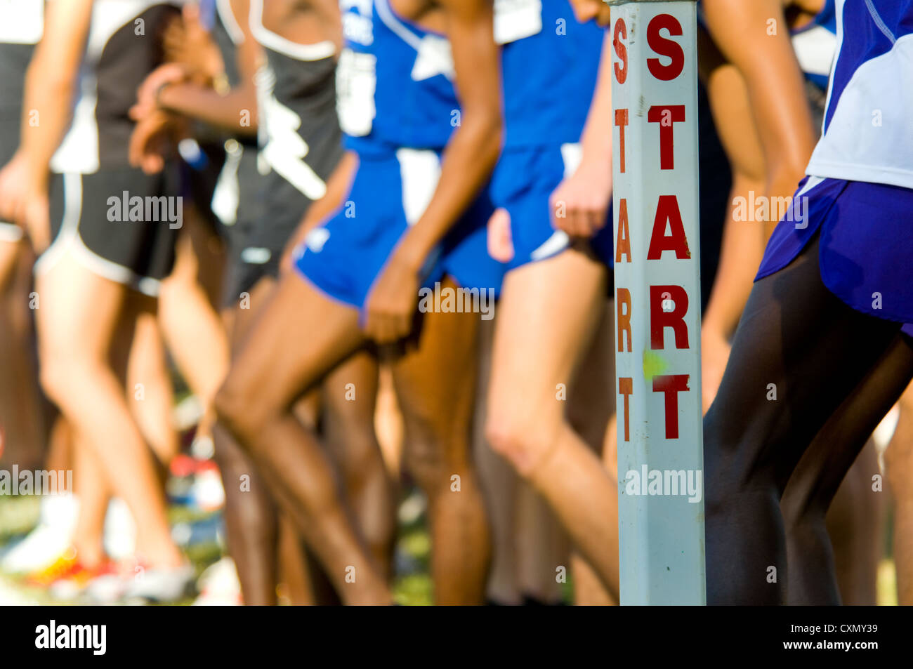 The start line at the beginning of a cross country race with runners in