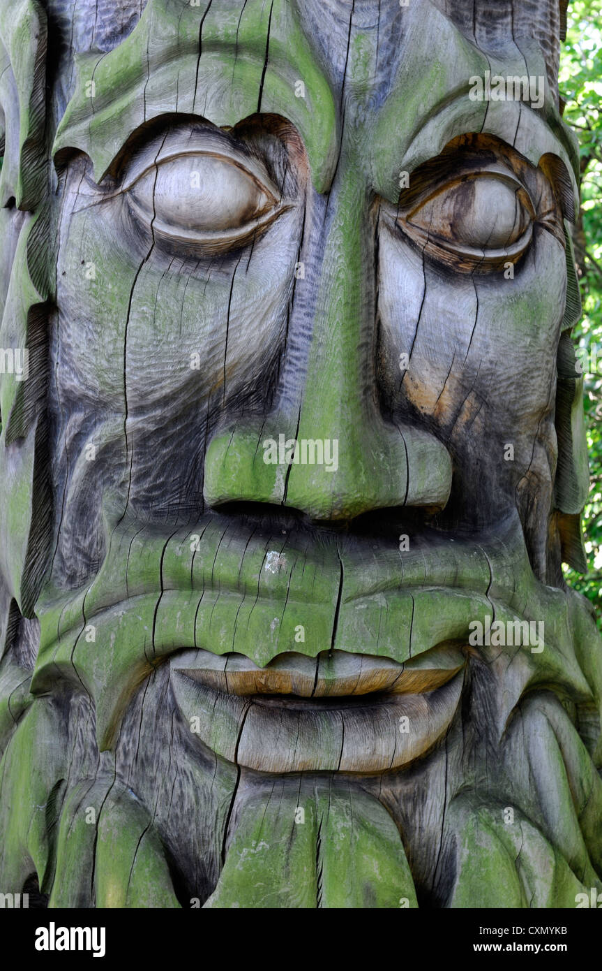 Ent tree hi-res stock photography and images - Alamy