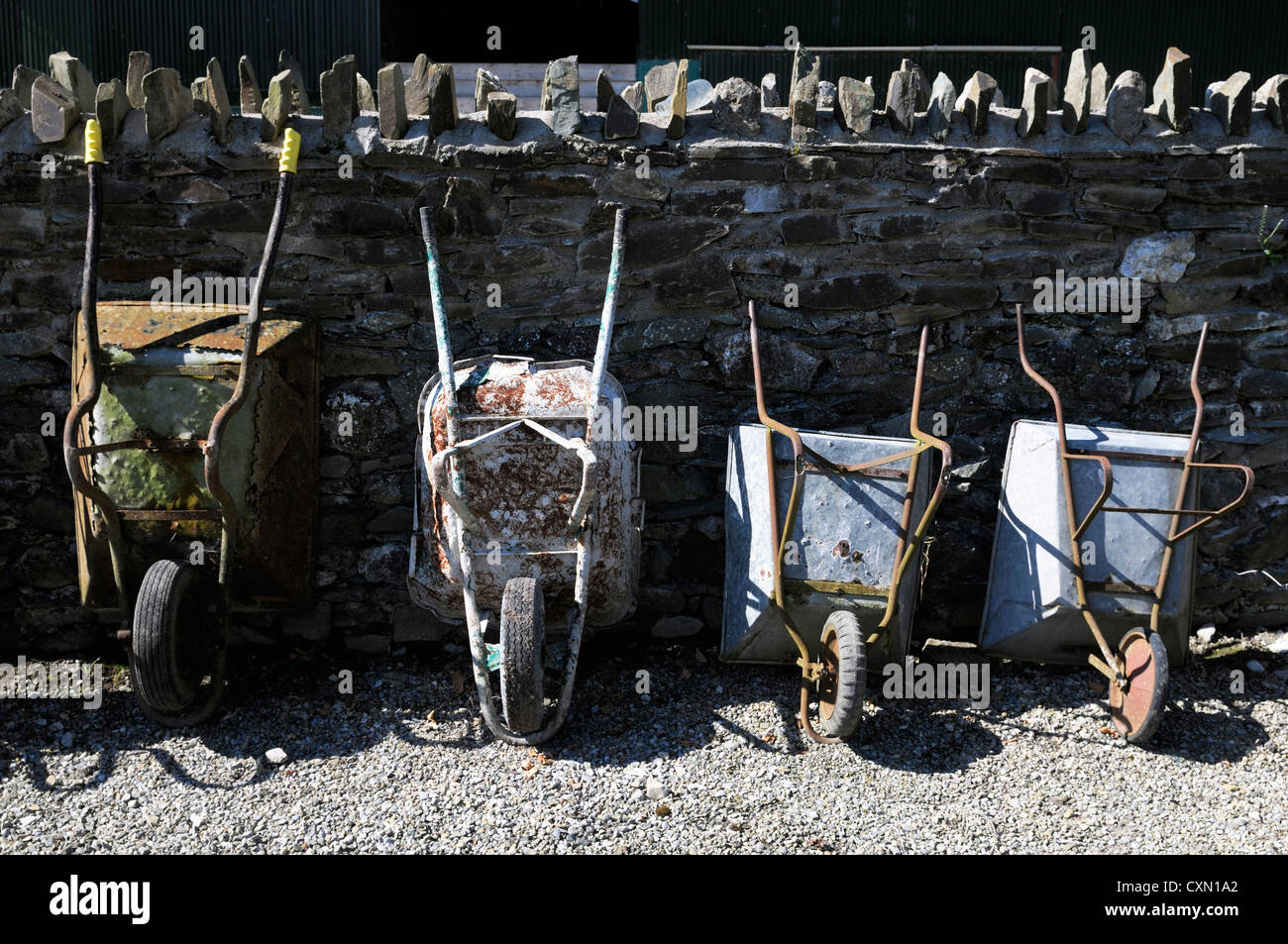 line of wheelbarrows stored upright outdoors against a wall garden