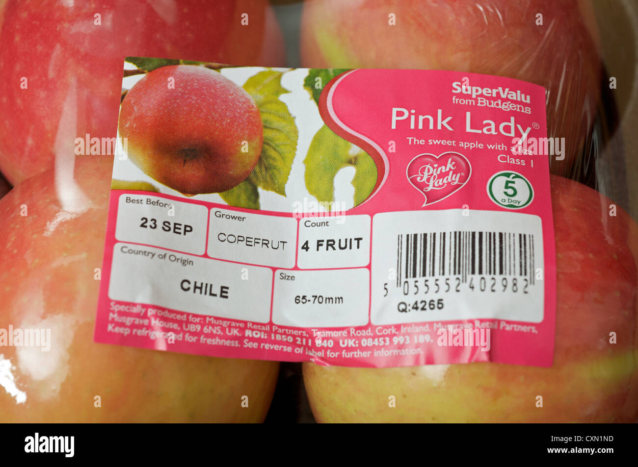 Budgens supermarket SuperValu Pink Lady apples from Chile Stock Photo
