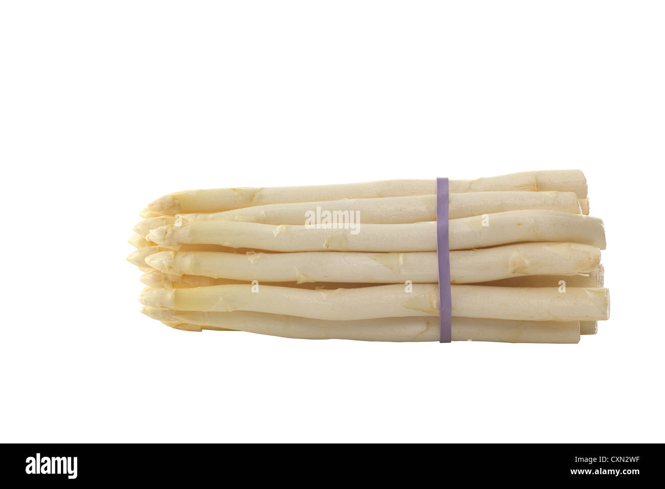 Raw white asparagus bunch held together by an elastic band photographed on white Stock Photo