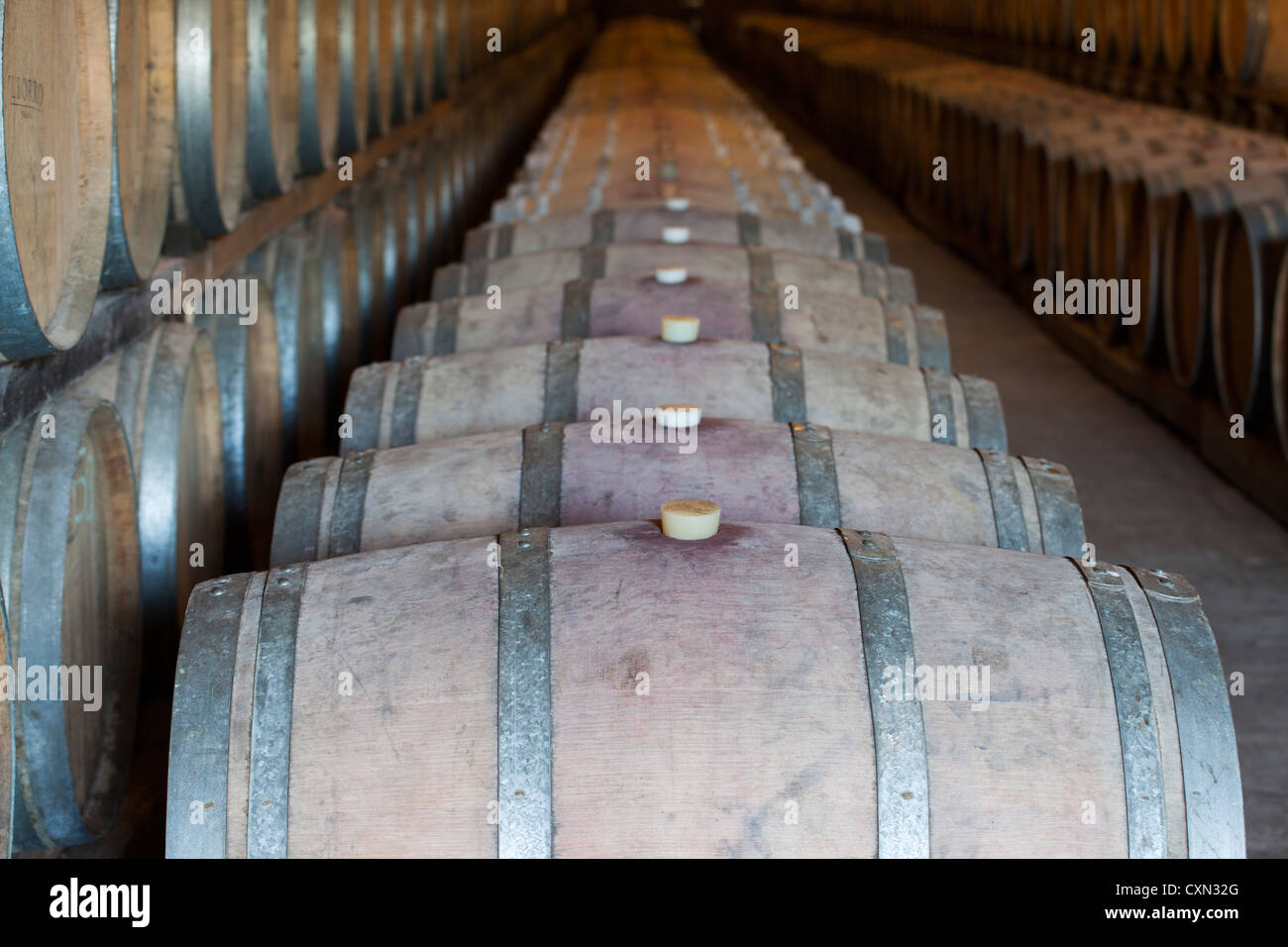 Il Borro, agristurismo in San Giustino Valdarno, Tuscany, Italy, the wine cellars Stock Photo