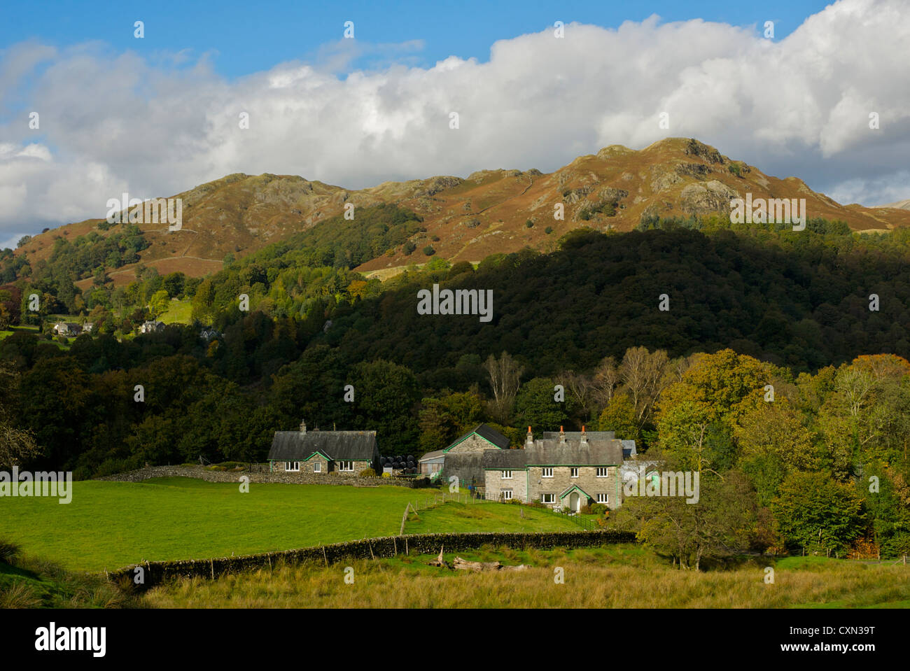 Skelwith Fold Farm, with Loughrigg Fell in the distance, Lake District National Park, Cumbria, England UK Stock Photo