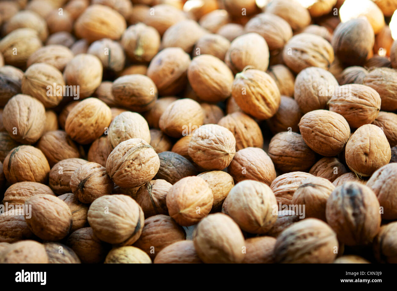 Walnuts drying after the harvest. Stock Photo