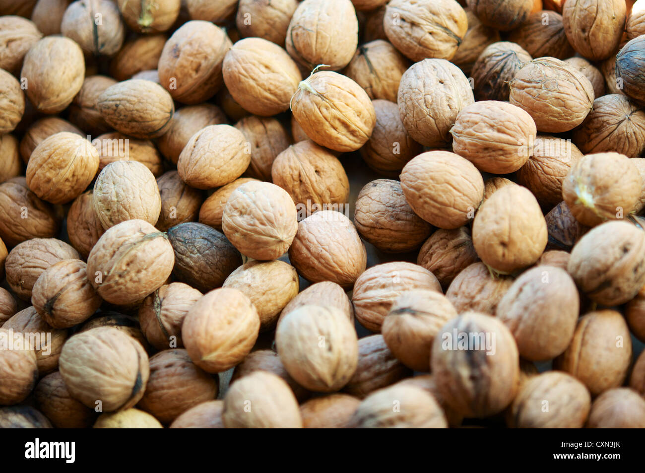 Walnuts drying after the harvest. Stock Photo