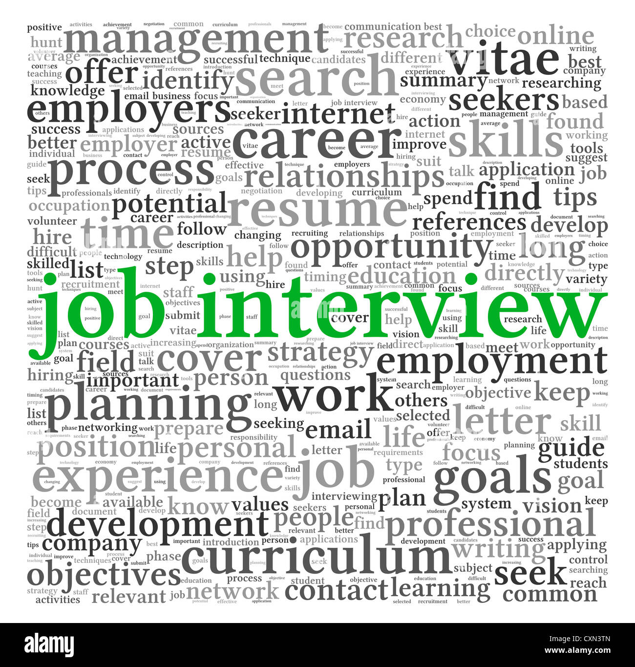 Job interview concept in word tag cloud on white background Stock Photo