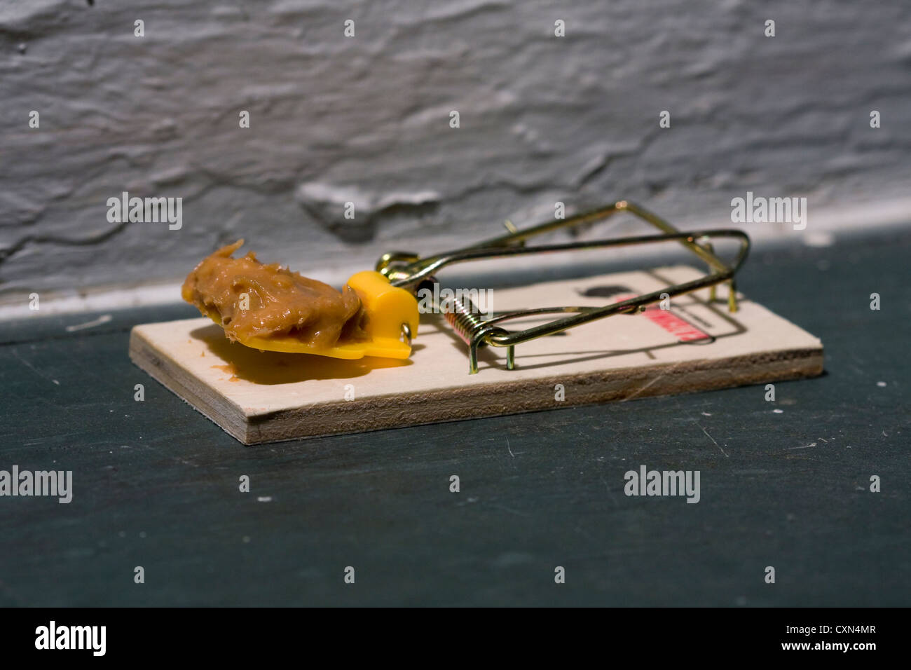 Mouse Trap on floor baited with Peanut Butter Stock Photo