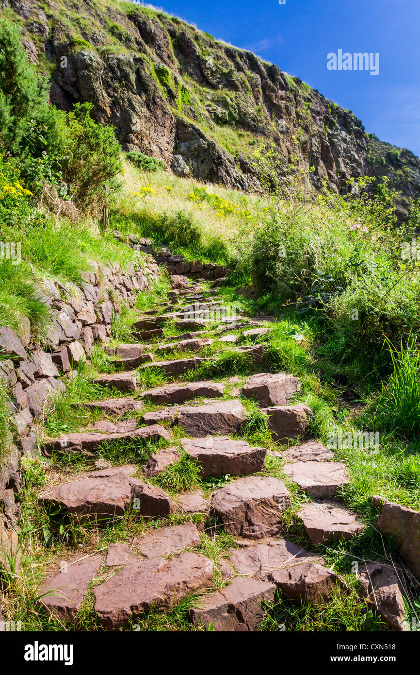Stone path in the mountains leading to the peak in summer Stock Photo ...