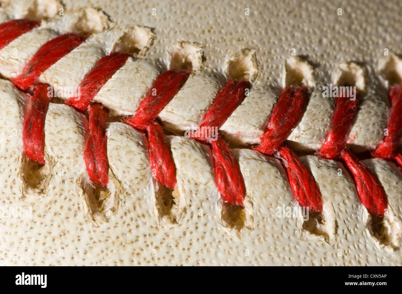 Macro shot of laces on a major league baseball, you can see the pores on the cowhide Stock Photo
