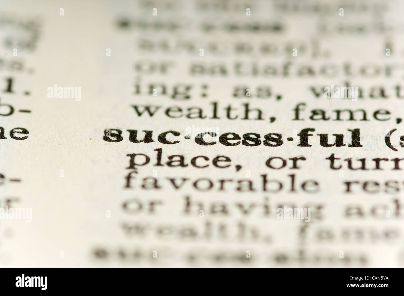 SUCCESSFUL DICTIONARY MEANING visual data 8