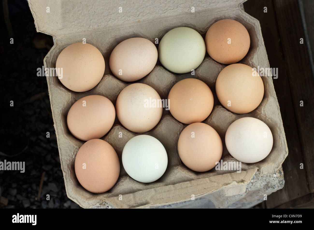 Egg skelter hi-res stock photography and images - Alamy