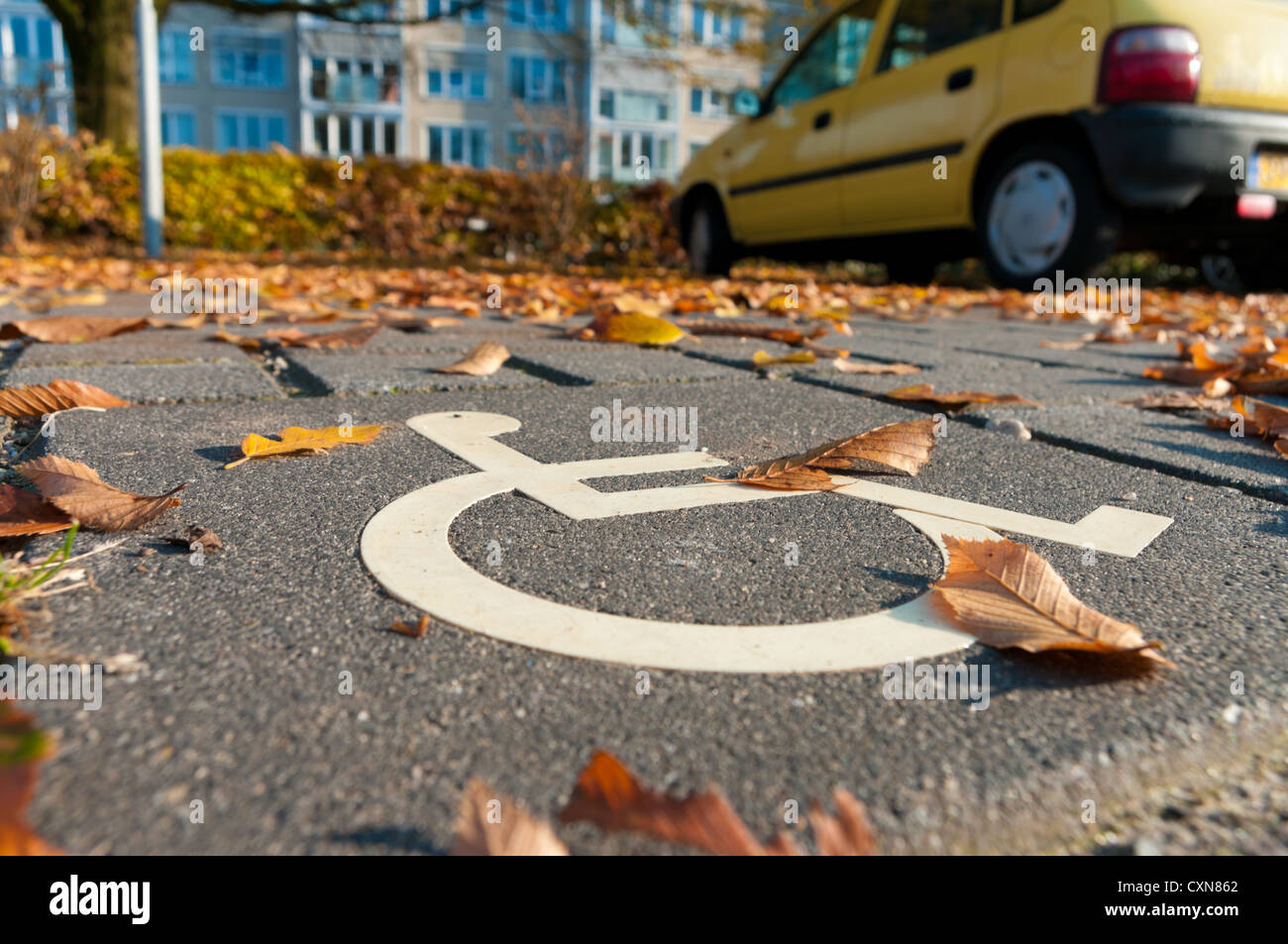 disabled parking permit sign painted on the street Stock Photo