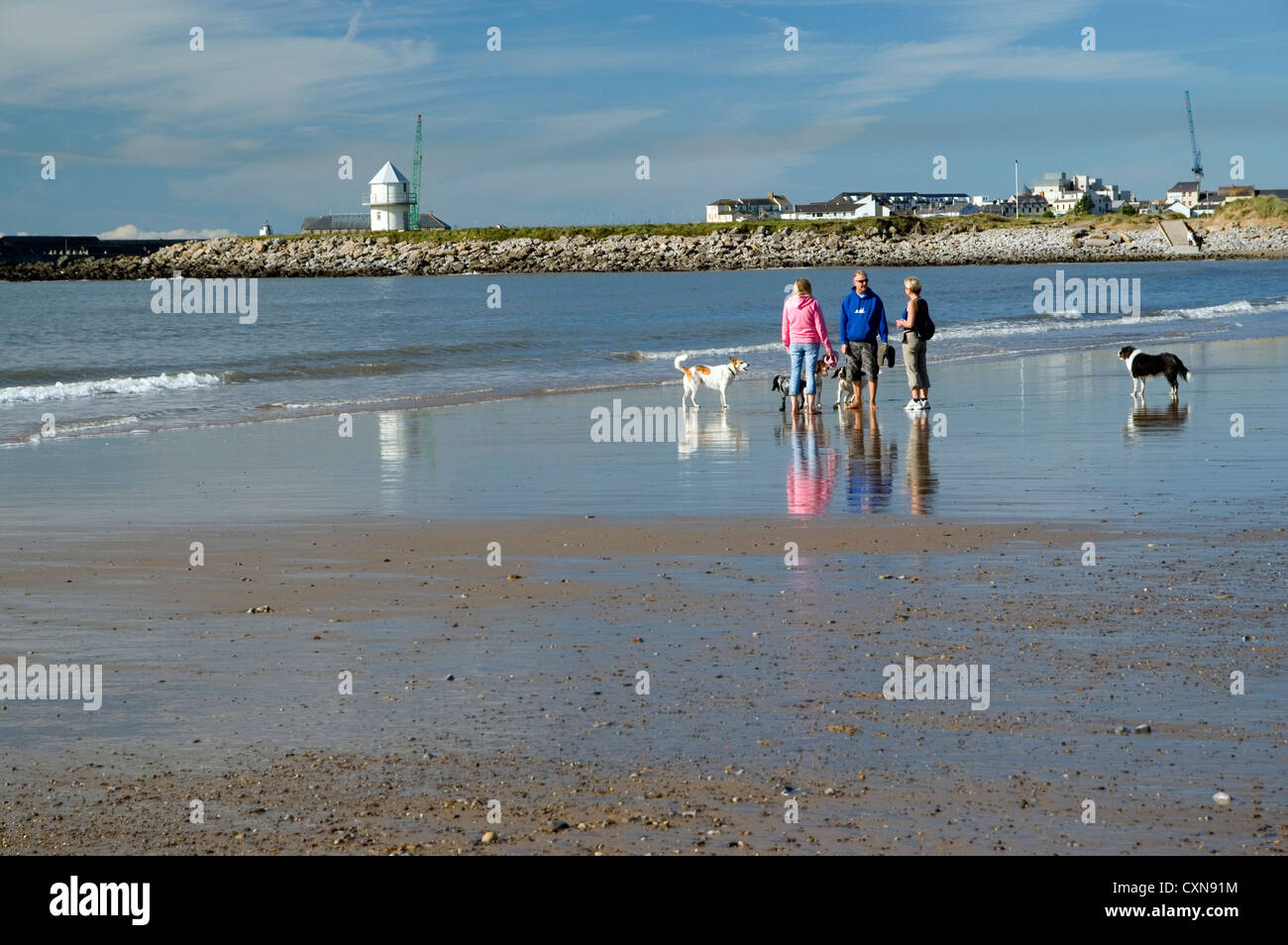 People walking dogs on Trecco Bay Beach, Porthcawl, South Wales, UK