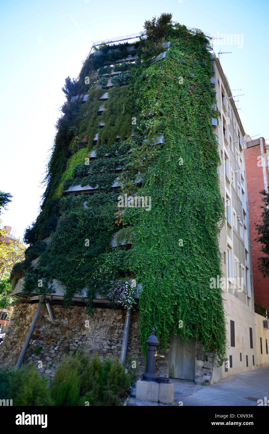 Vertical garden in Barcelona. Between Josep Tarradellas avenue and Marques de Sentmenat street. Nature oasis in city. Stock Photo