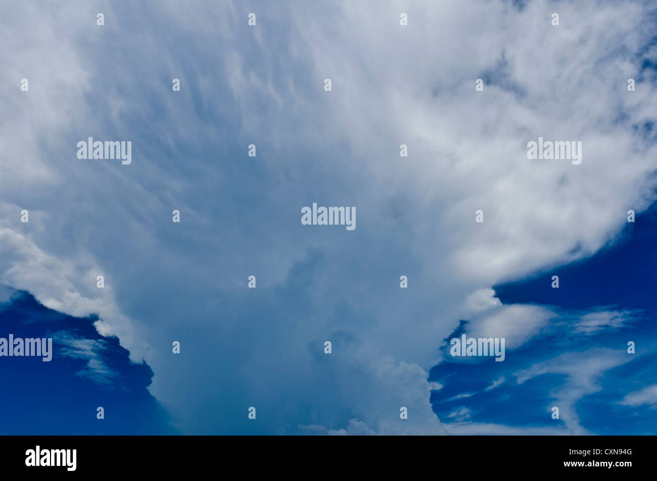 Single-cell Cumulonimbus incus (Cb) towering vertical cloud (family D2), indicates thunderstorms and inclement weather, Cirrus Stock Photo