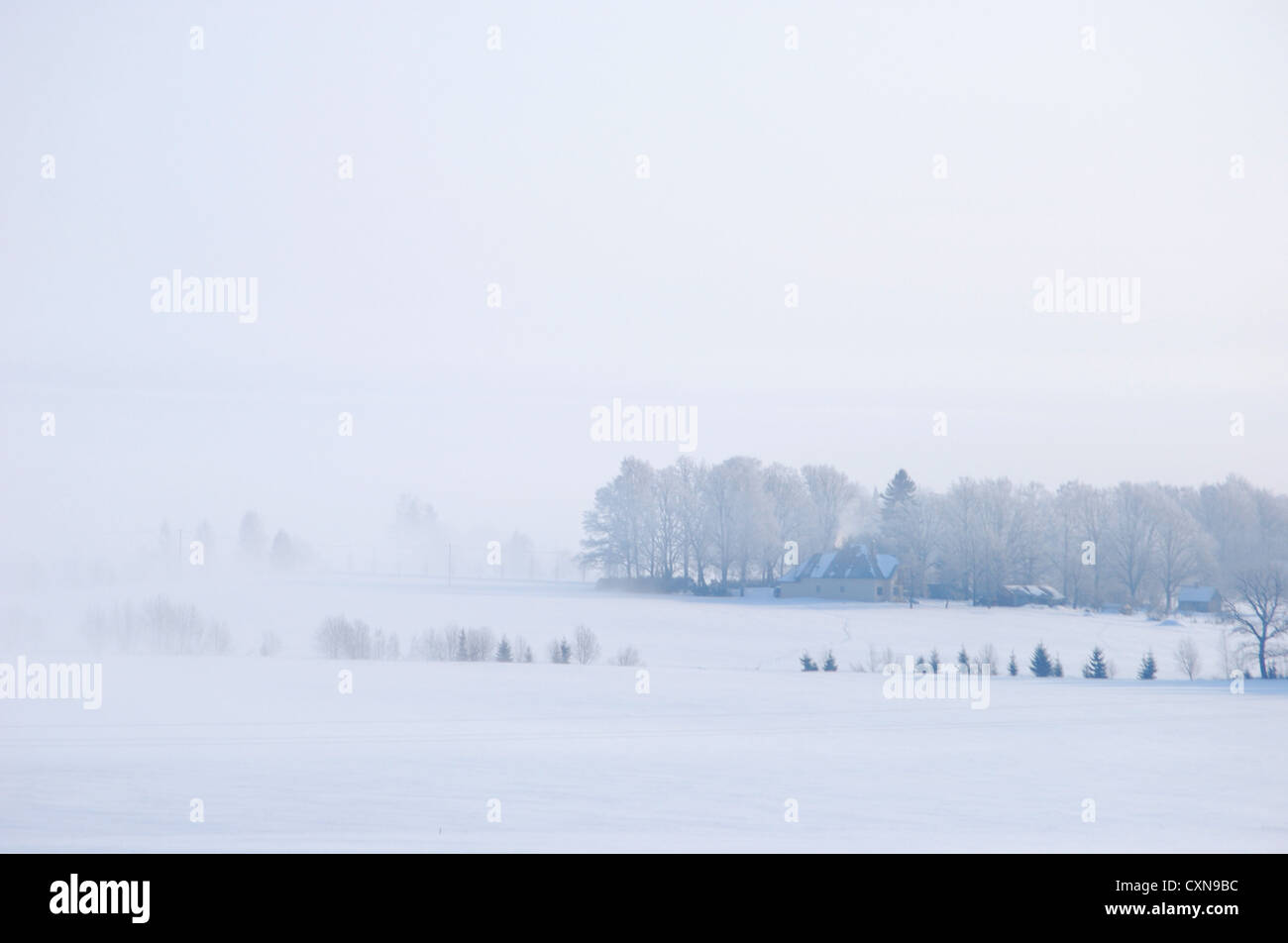 morning in misty winter landscape Stock Photo