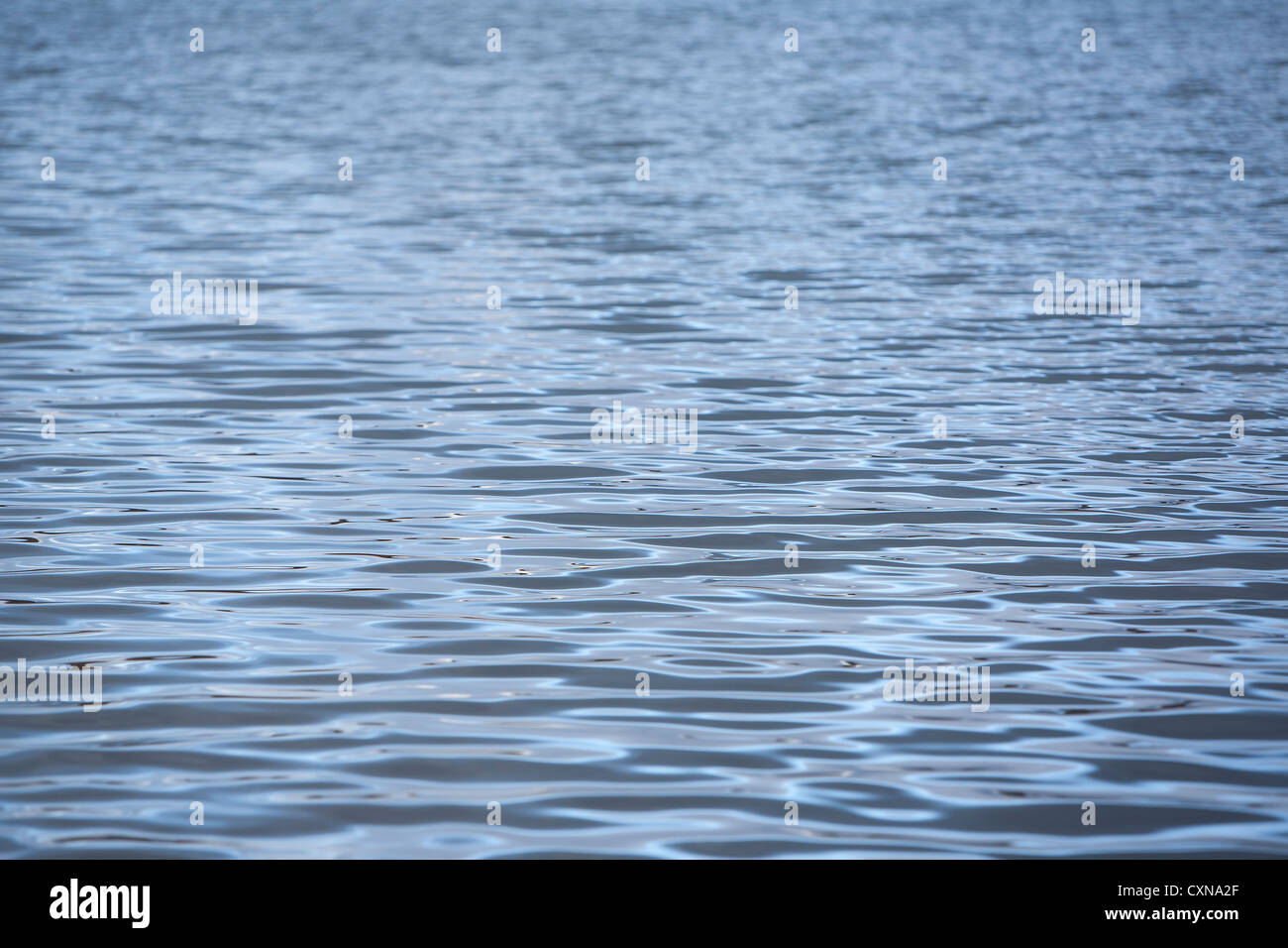 Water Without Ripples Ripples in water hi-res stock photography and images - Alamy