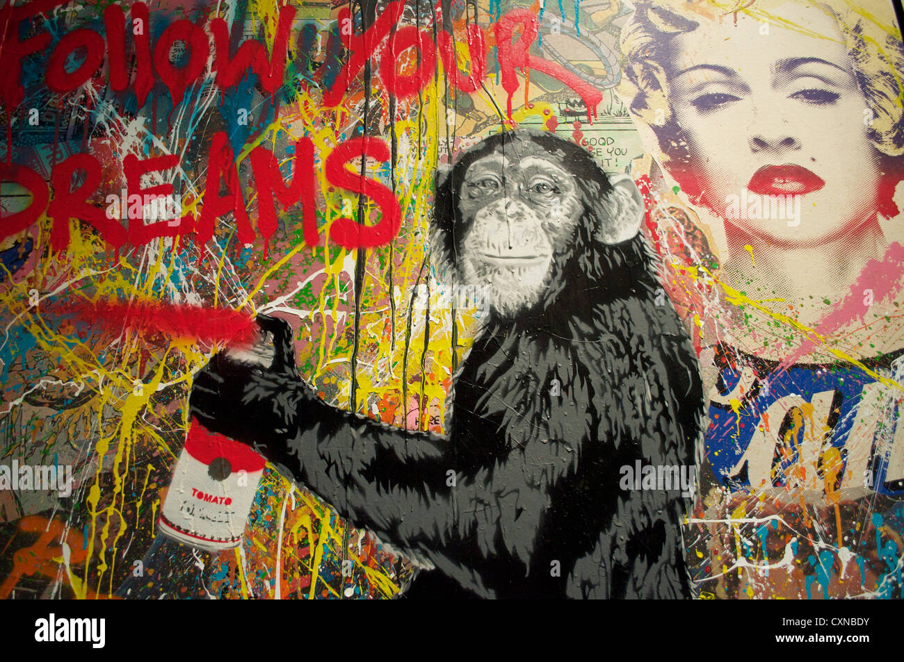 Monkey art at the debut UK art exhibition of Thierry Guetta also known as Mr Brainwash at the