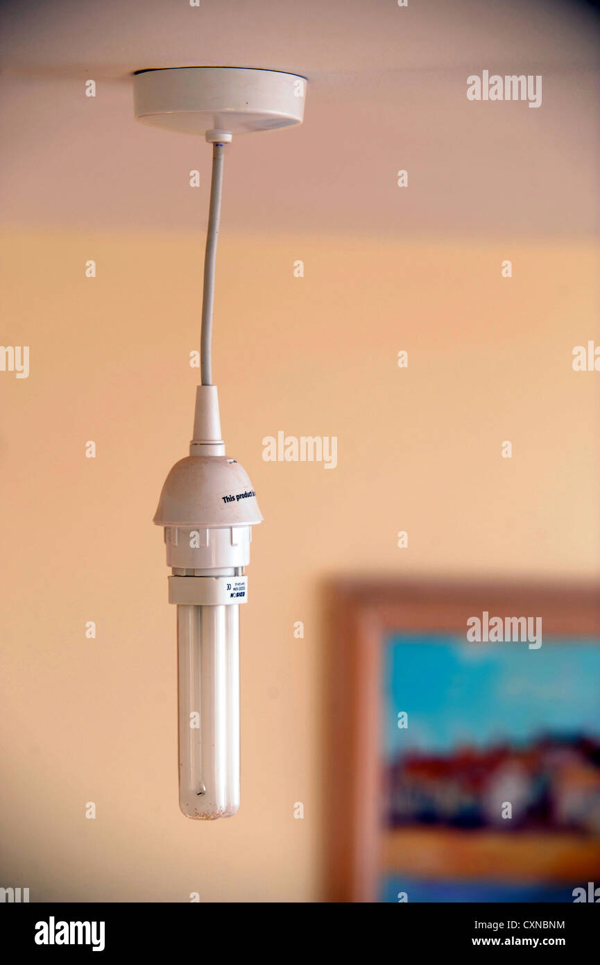 An Energy saving (CFL) Compact Fluorescent light bulb UK Stock Photo