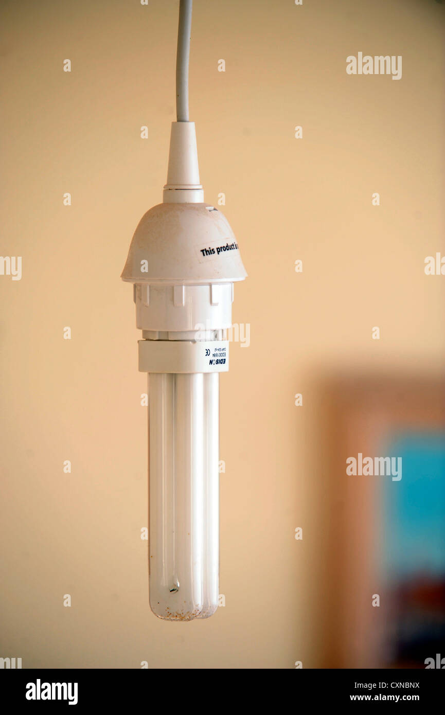 Fluorescents hires stock photography and images Alamy