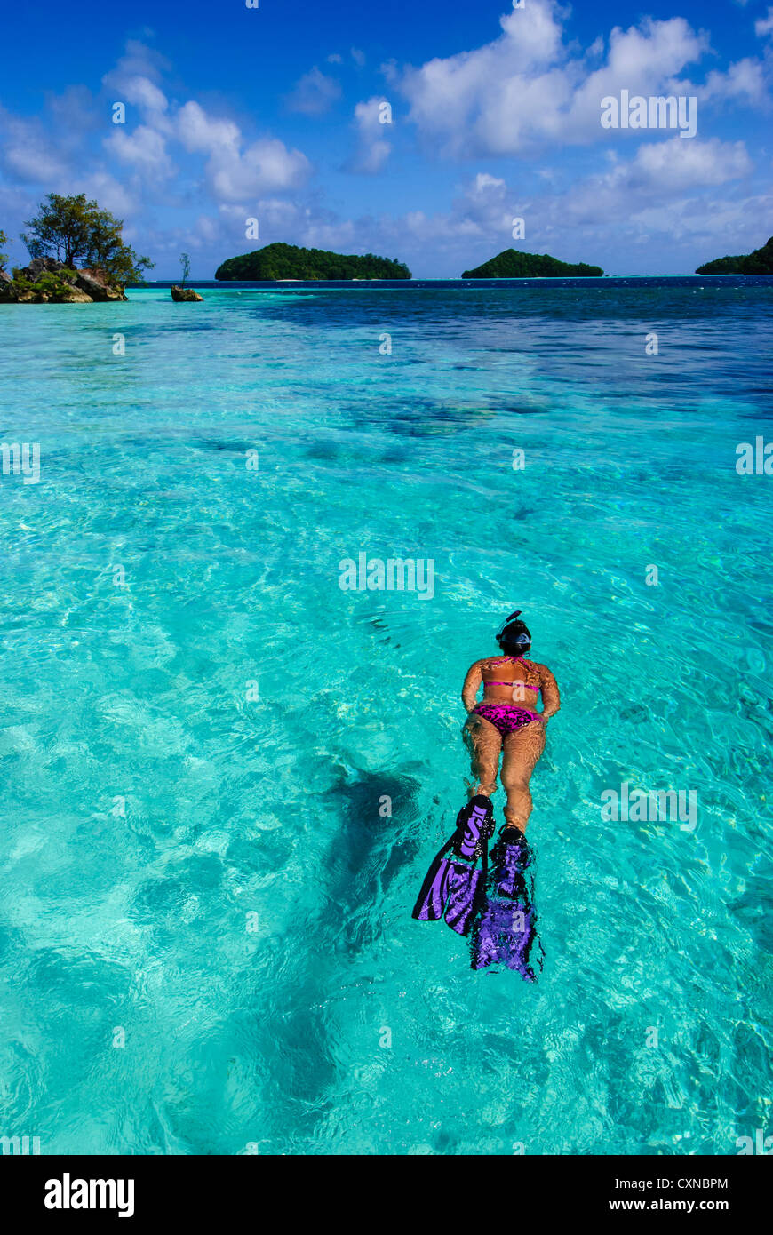 Snorkeler on the blue waters of Ngermeaus Island, Palau Micronesia Stock Photo