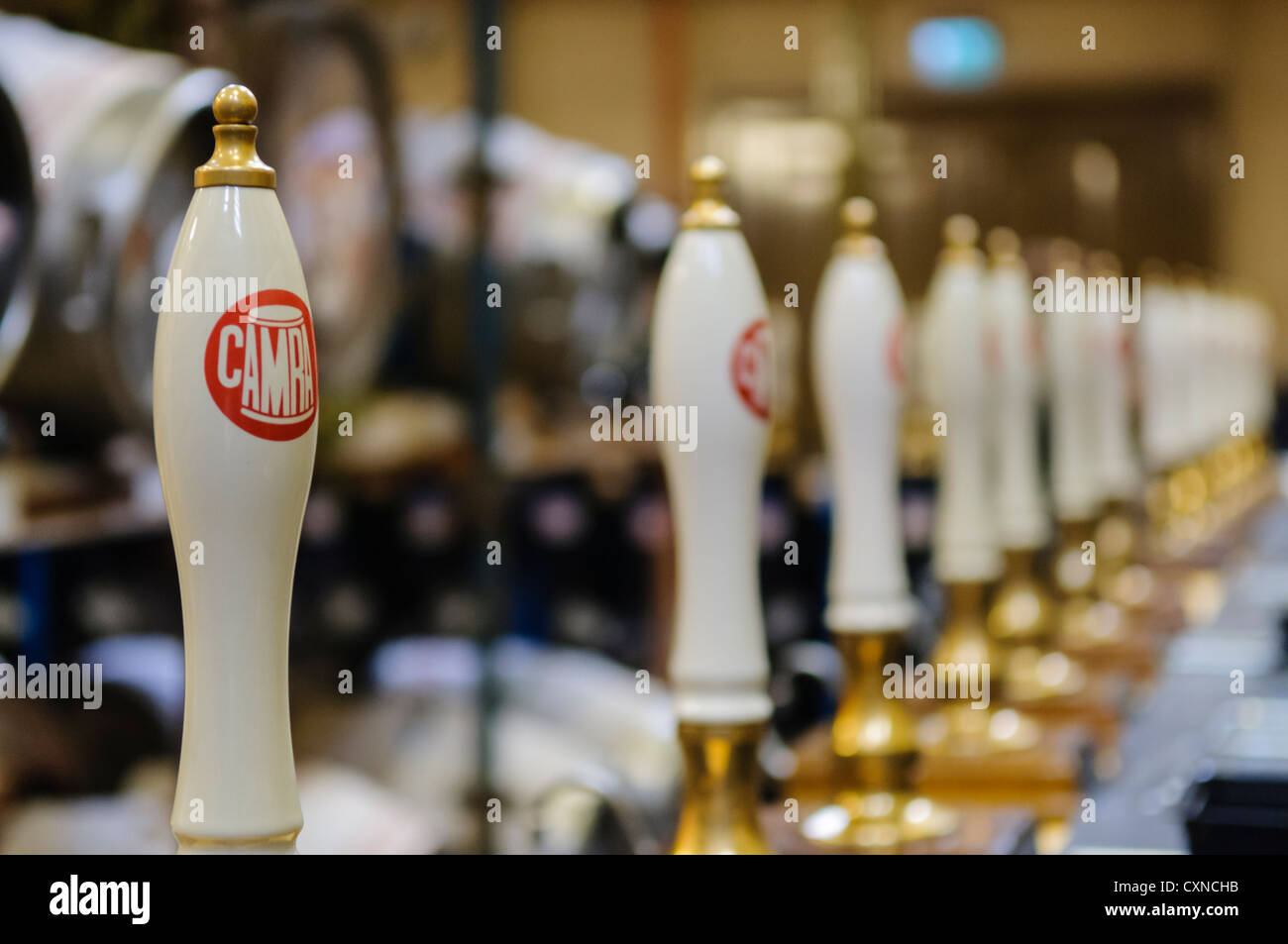 Row of beer pumps at a CAMRA (Campaign for Real Ale) beer and cider festival Stock Photo
