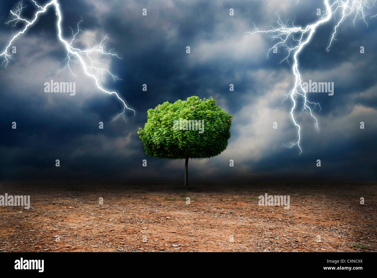 lone tree on a desert land, under a storm, global warming and climate change concept Stock Photo