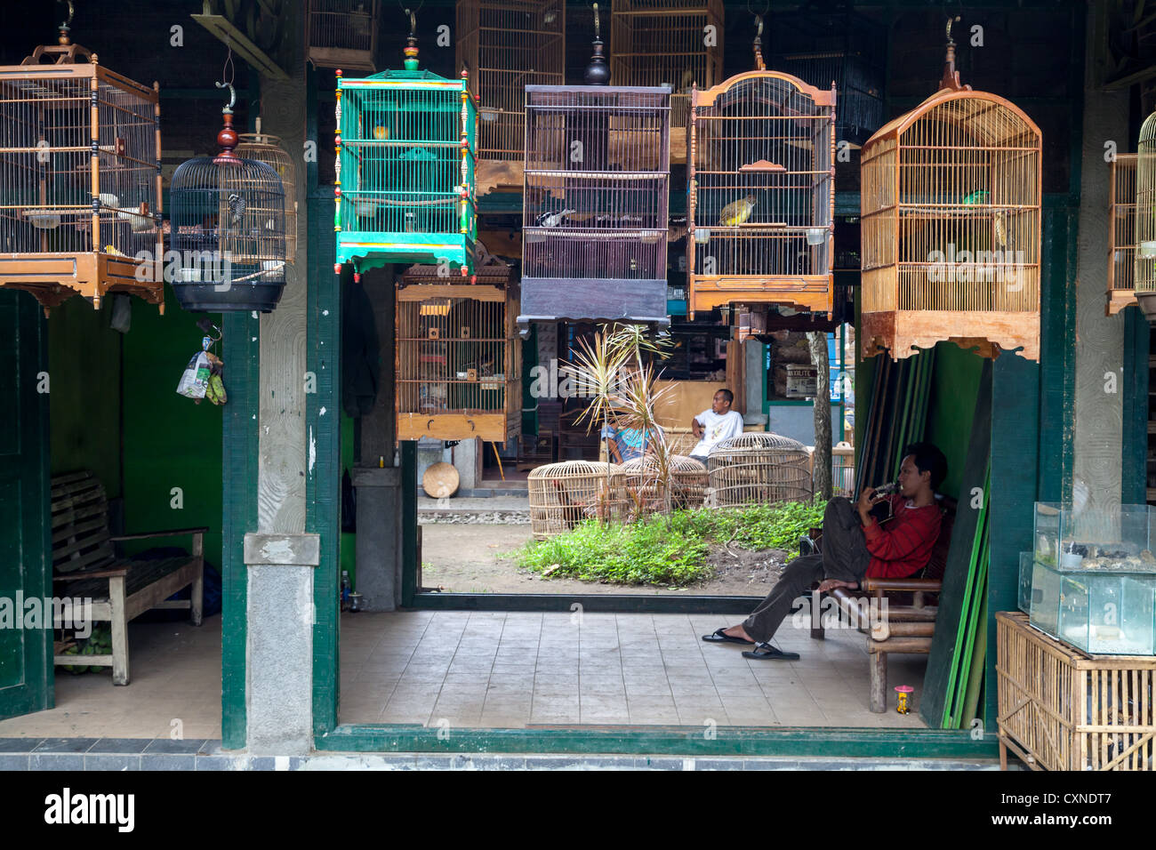 Bird Cages on the Bird Market in Indonesia Stock Photo