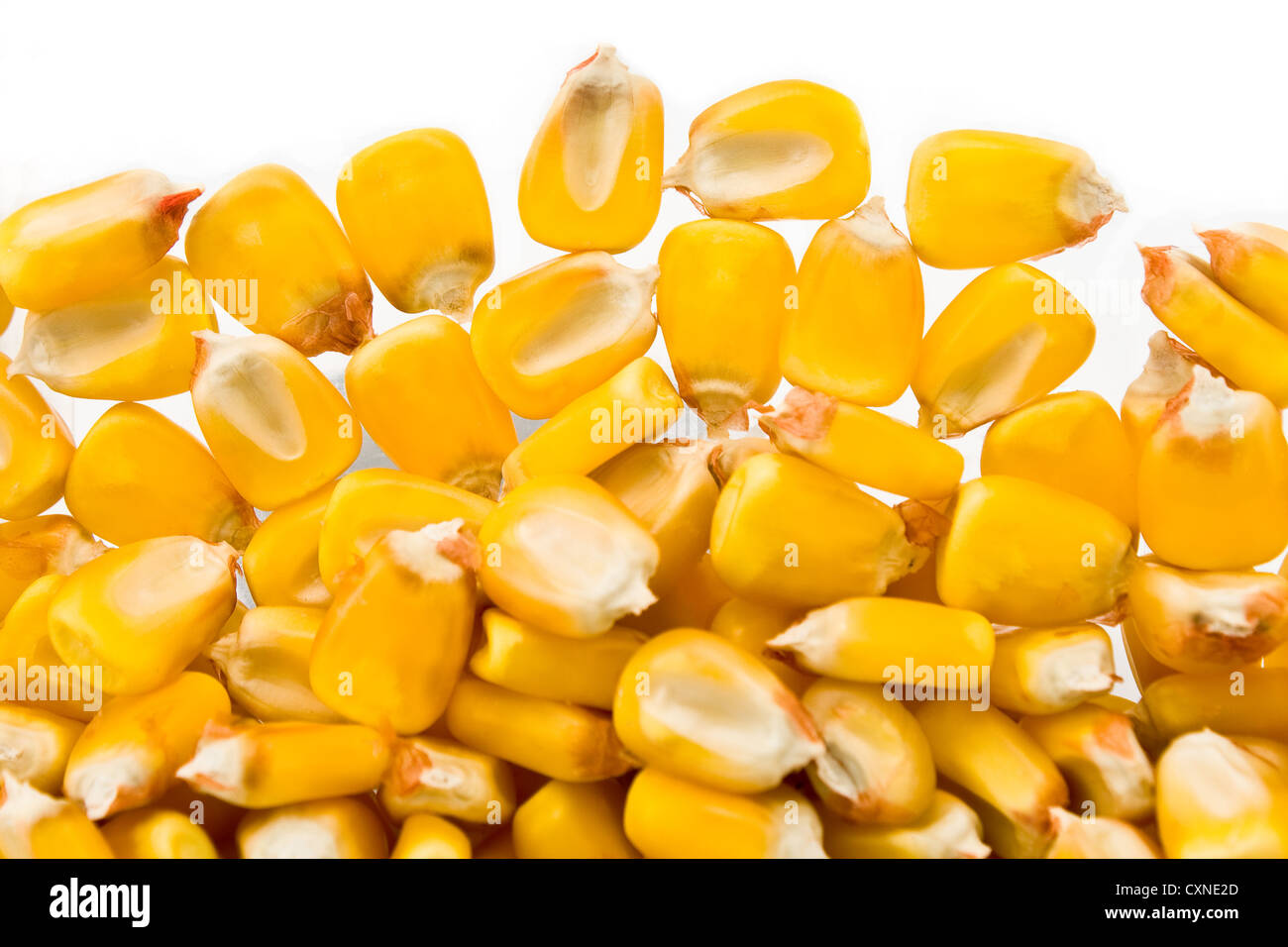 Corn beans background Stock Photo