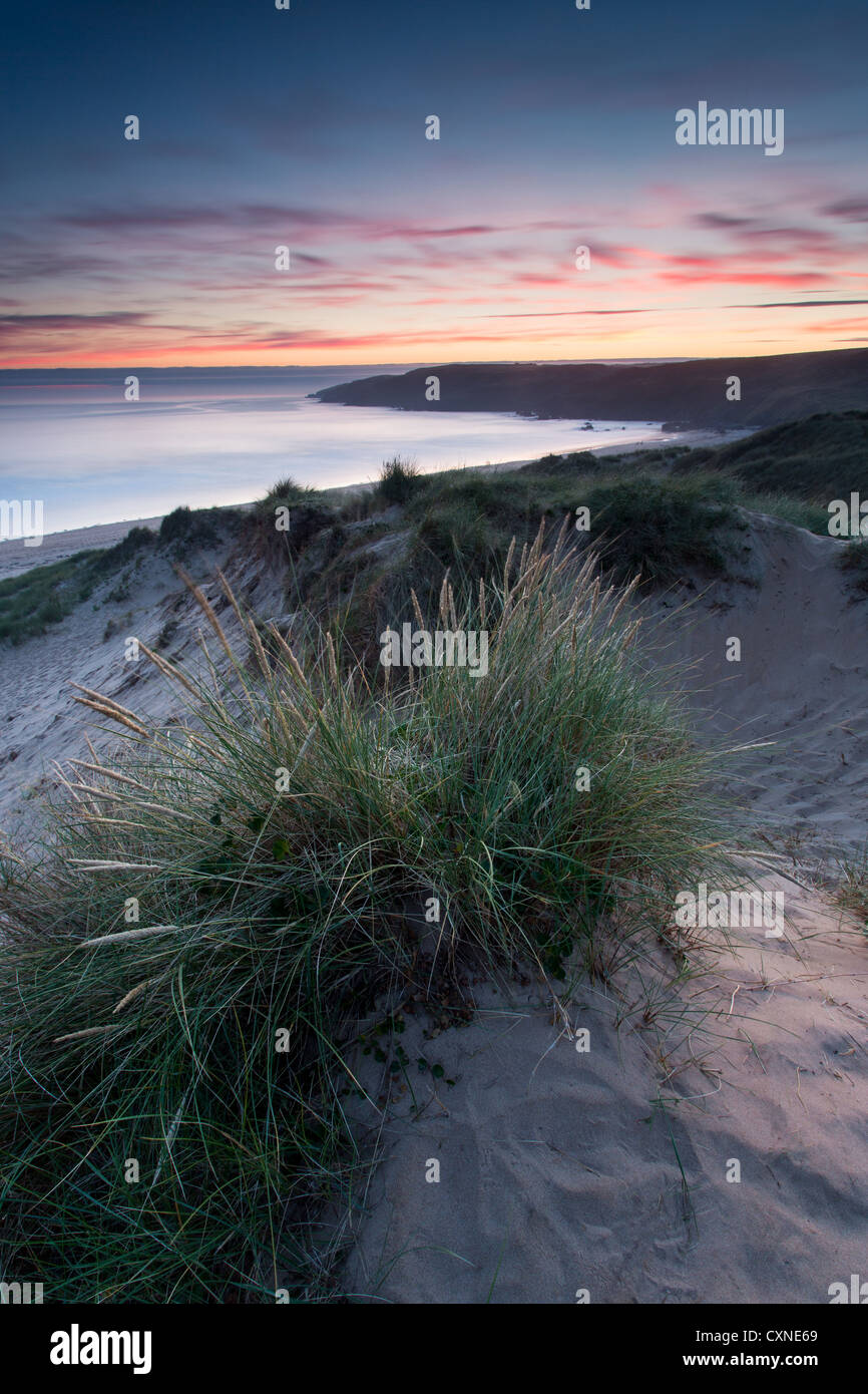 Freshwater West, on the Pembrokeshire coast . The Marram grass dunes at  sunset on a summer day. Stock Photo
