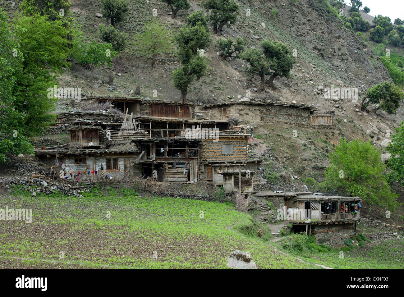 Terraced houses at the village of Kalasha Grum, Rumbur Valley, Chitral, Khyber-Pakhtunkhwa, Pakistan Stock Photo