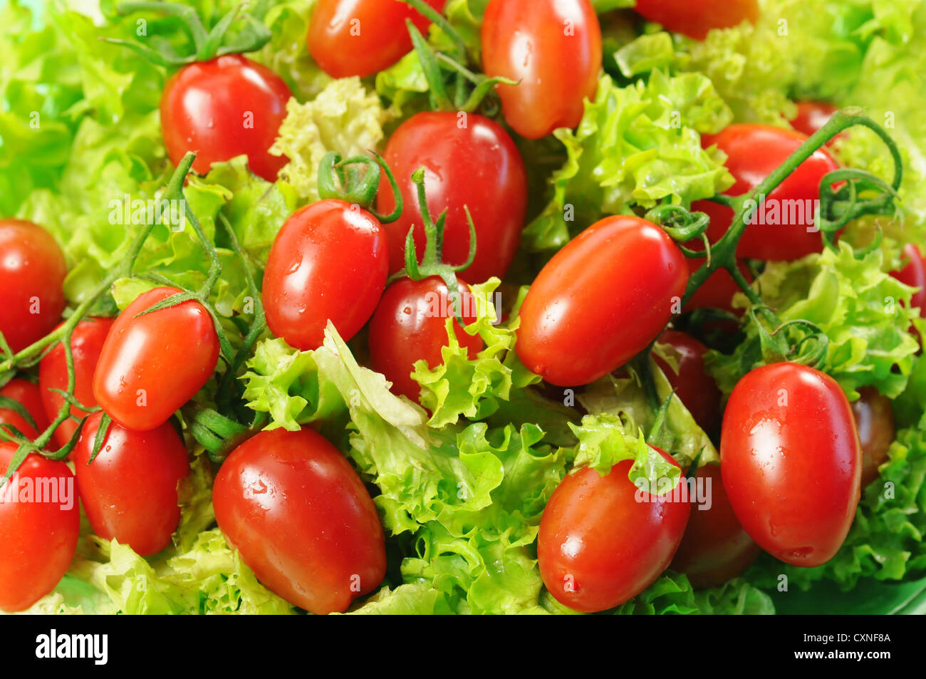 Tomatoes and salad leaves Stock Photo