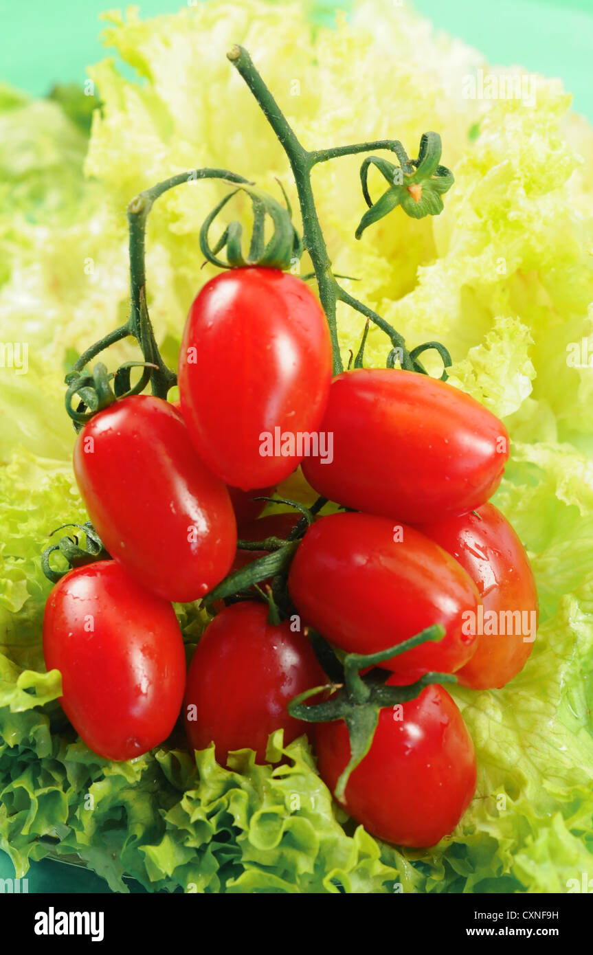 Tomatoes and salad leaves Stock Photo
